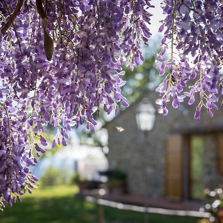 Le Cetinelle Guest House Greve in Chianti Ngoại thất bức ảnh